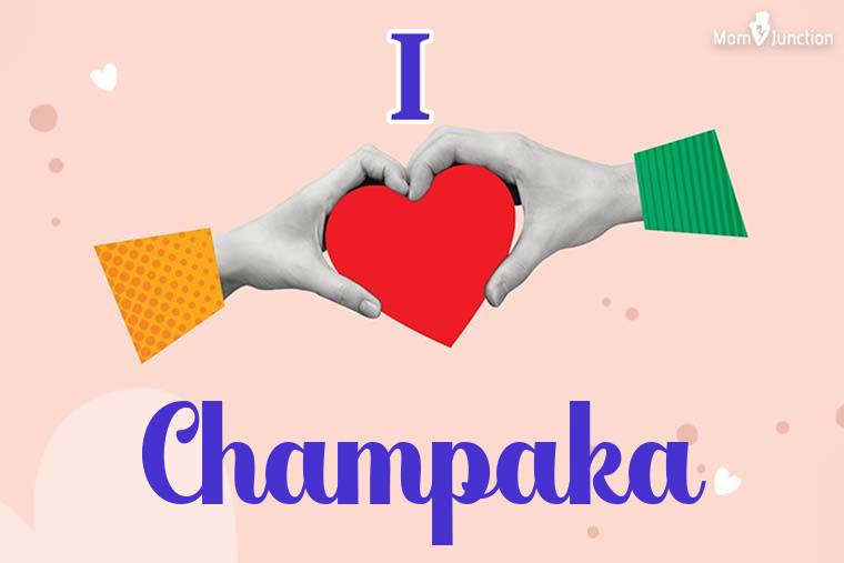 I Love Champaka Wallpaper