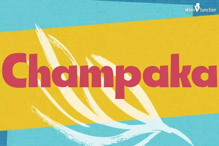 Champaka Stylish Wallpaper