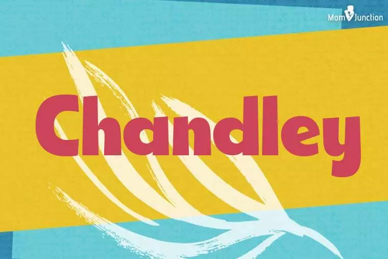 Chandley Stylish Wallpaper