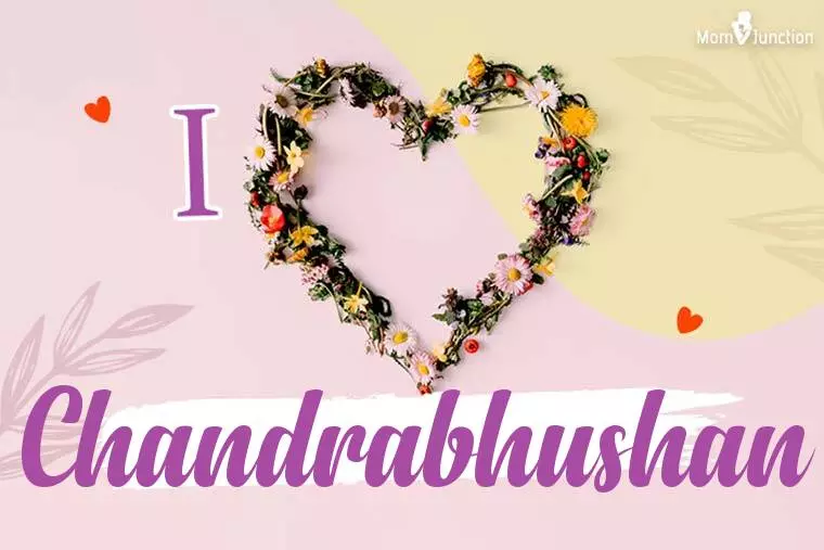 I Love Chandrabhushan Wallpaper