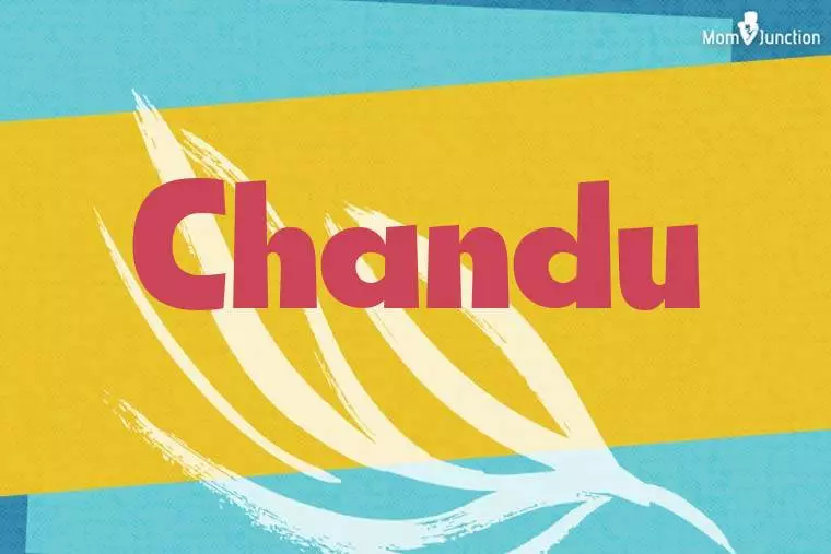 Chandu Stylish Wallpaper