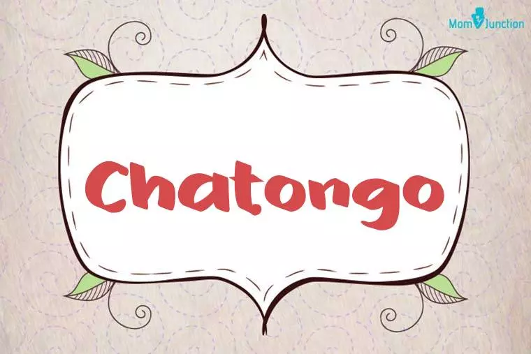 Chatongo Stylish Wallpaper