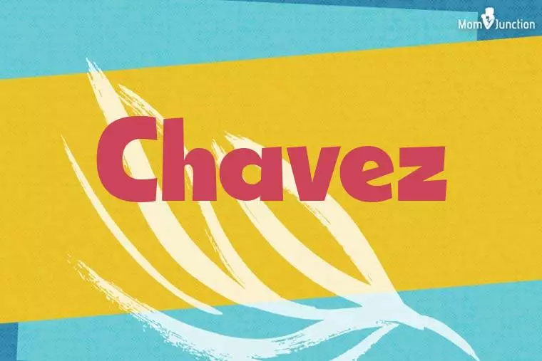 Chavez Stylish Wallpaper