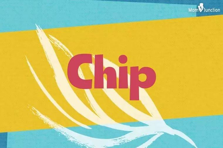 Chip Stylish Wallpaper