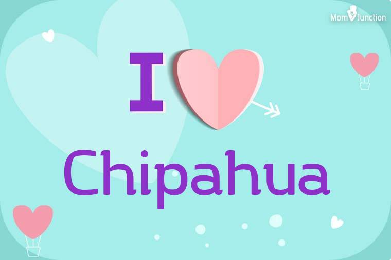 I Love Chipahua Wallpaper