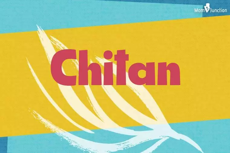 Chitan Stylish Wallpaper