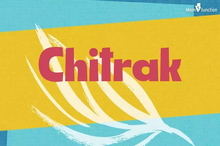 Chitrak Stylish Wallpaper