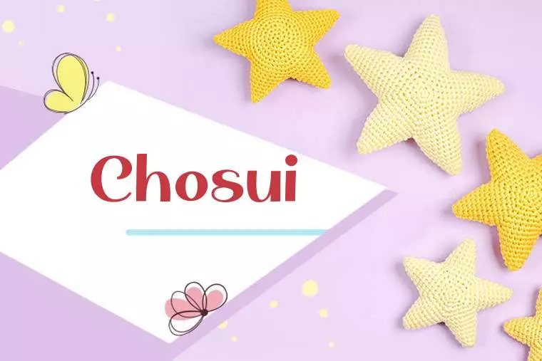 Chosui Stylish Wallpaper