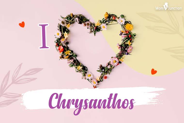 I Love Chrysanthos Wallpaper