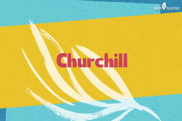 Churchill Stylish Wallpaper