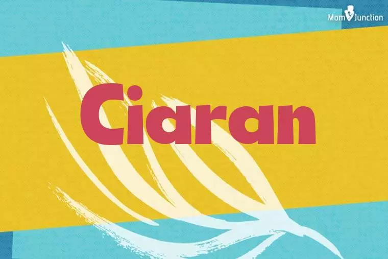 Ciaran Stylish Wallpaper