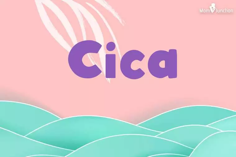 Cica Stylish Wallpaper