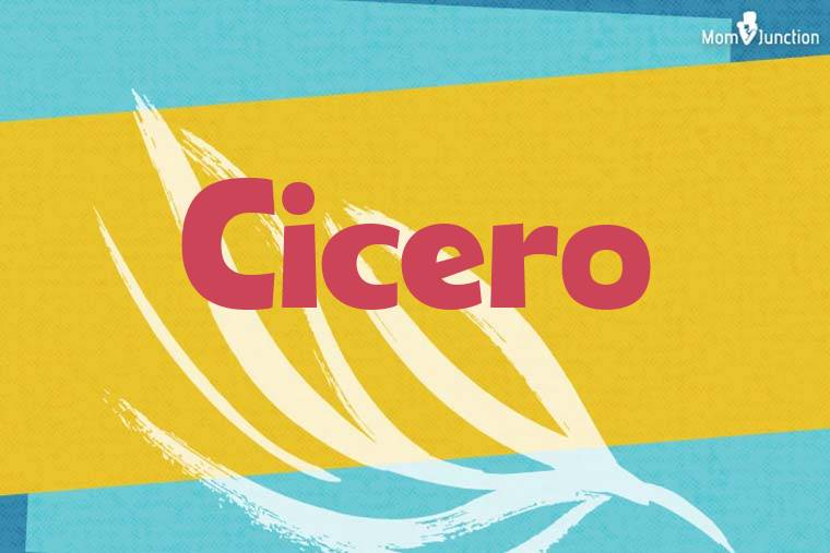 Cicero Stylish Wallpaper