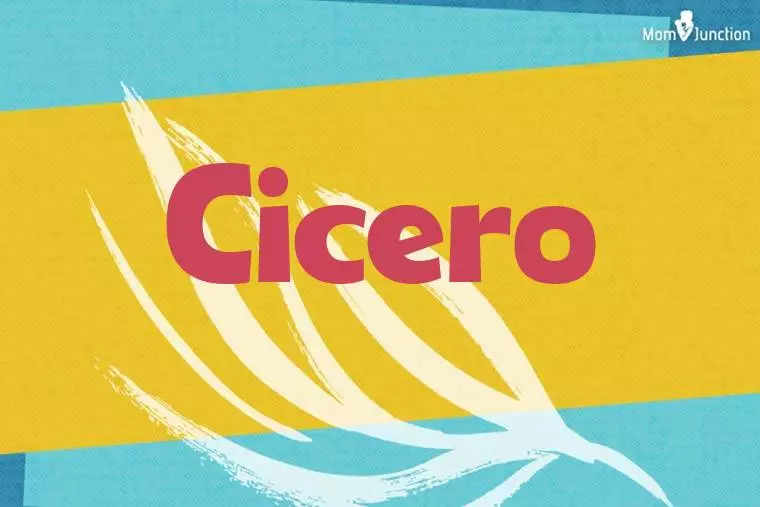 Cicero Stylish Wallpaper