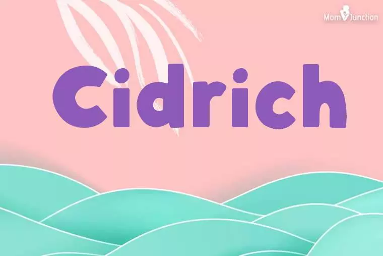 Cidrich Stylish Wallpaper