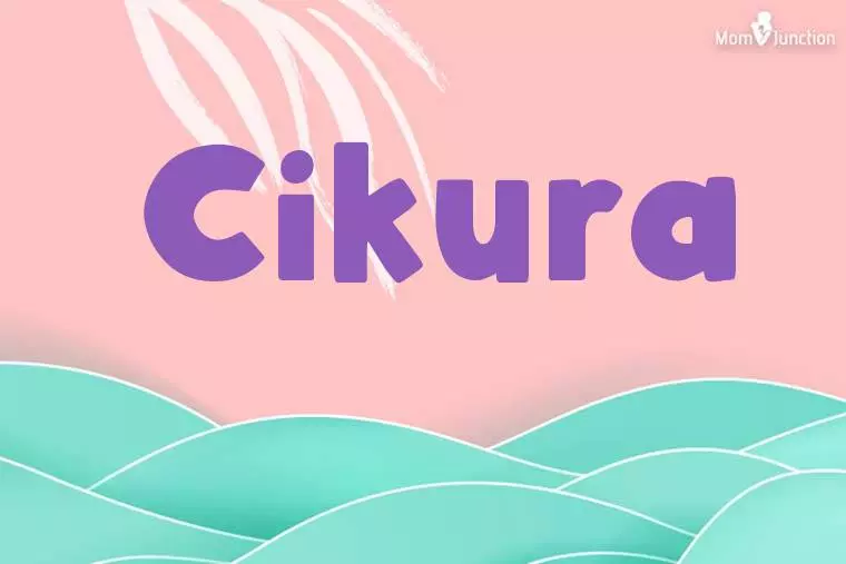 Cikura Stylish Wallpaper