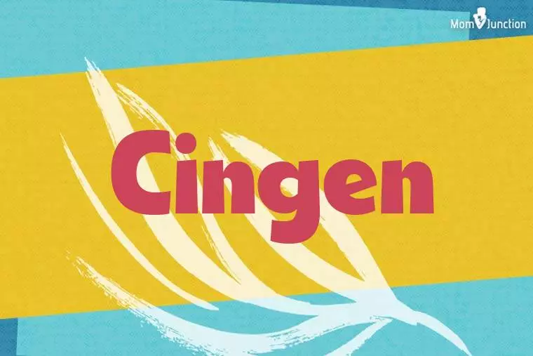 Cingen Stylish Wallpaper