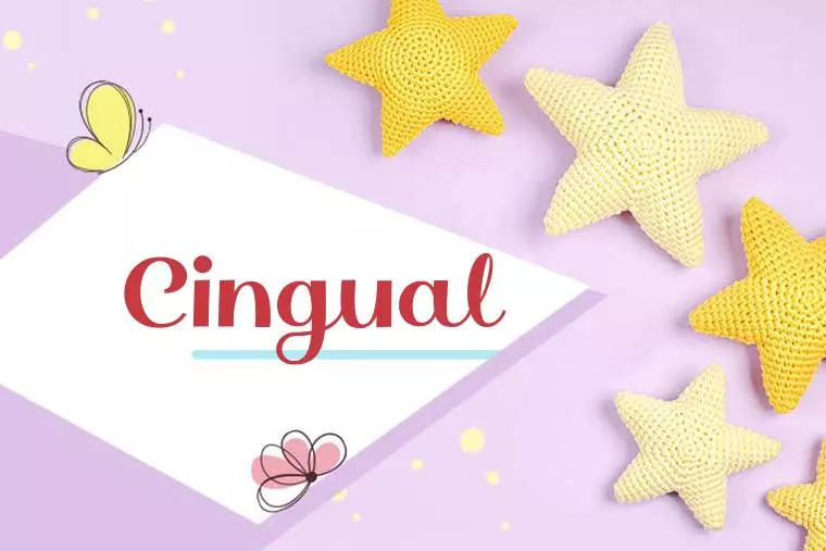 Cingual Stylish Wallpaper