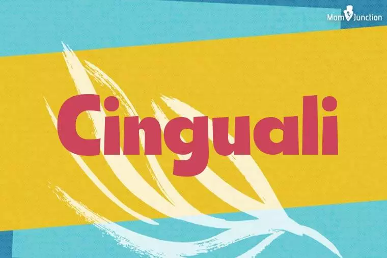 Cinguali Stylish Wallpaper