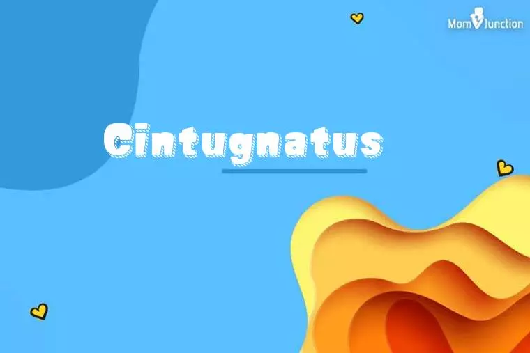 Cintugnatus 3D Wallpaper