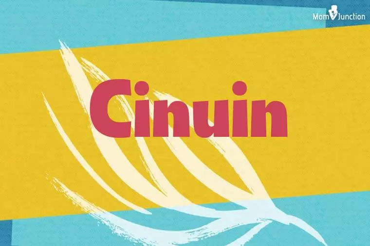 Cinuin Stylish Wallpaper