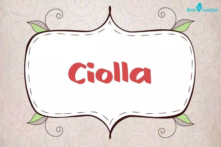 Ciolla Stylish Wallpaper