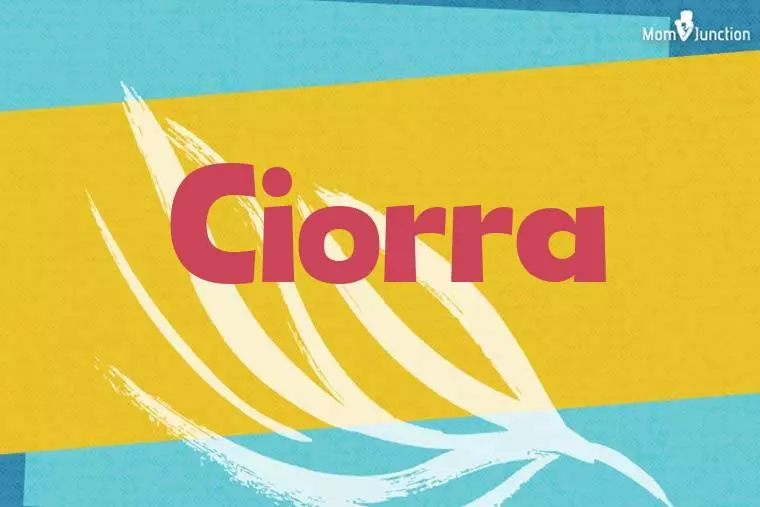 Ciorra Stylish Wallpaper