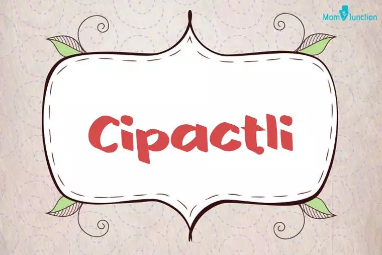 Cipactli Stylish Wallpaper