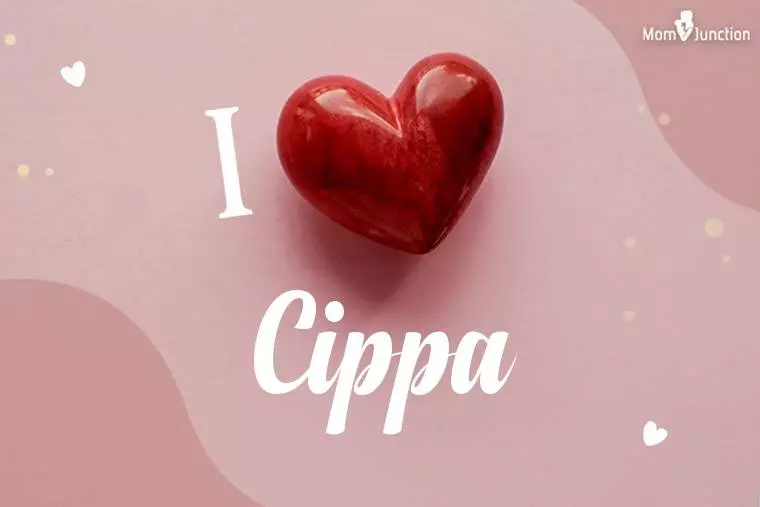 I Love Cippa Wallpaper