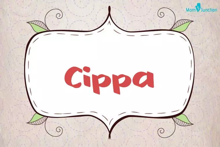 Cippa Stylish Wallpaper