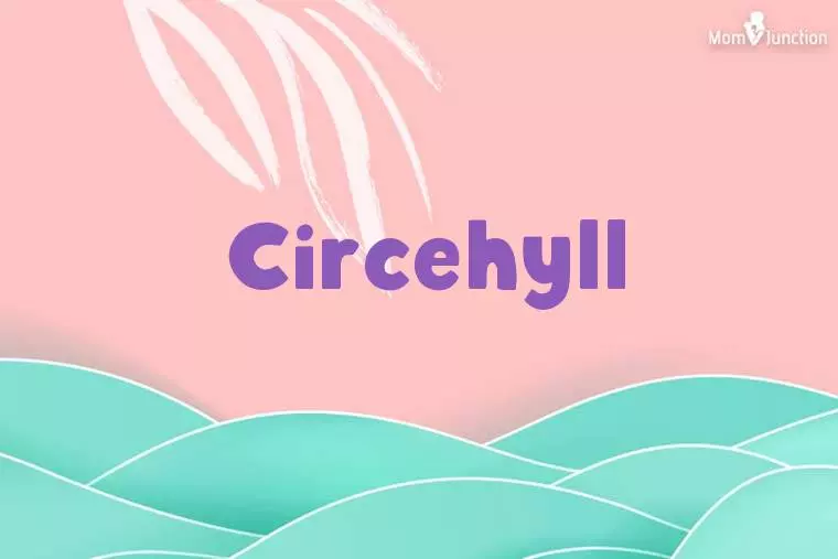 Circehyll Stylish Wallpaper