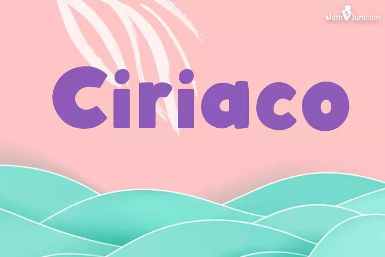 Ciriaco Stylish Wallpaper