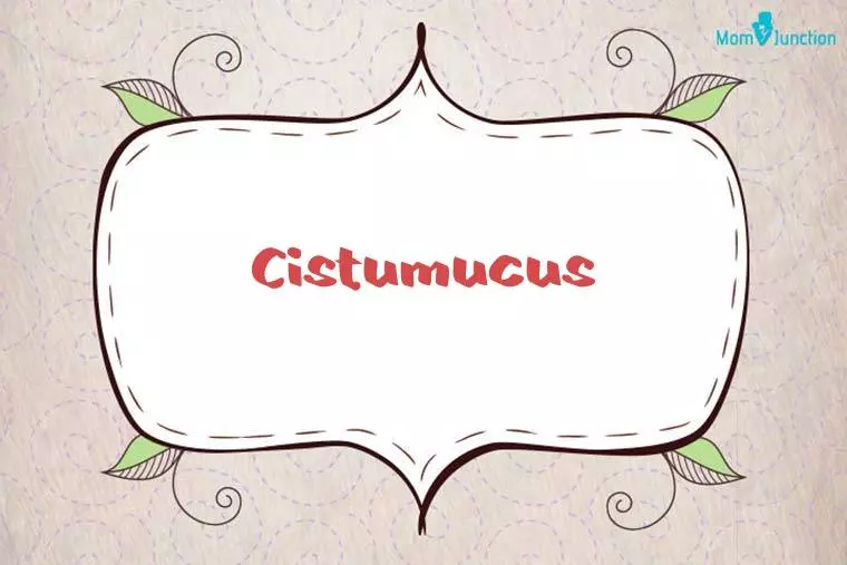 Cistumucus Stylish Wallpaper