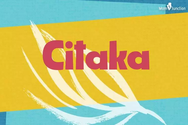 Citaka Stylish Wallpaper