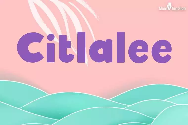 Citlalee Stylish Wallpaper