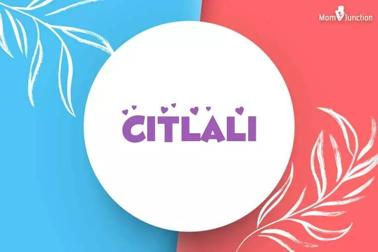 Citlali Stylish Wallpaper