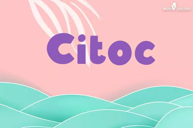 Citoc Stylish Wallpaper