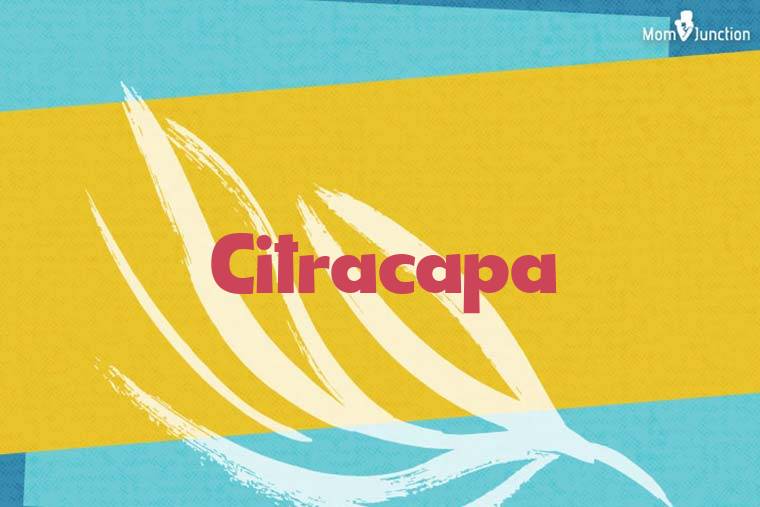 Citracapa Stylish Wallpaper