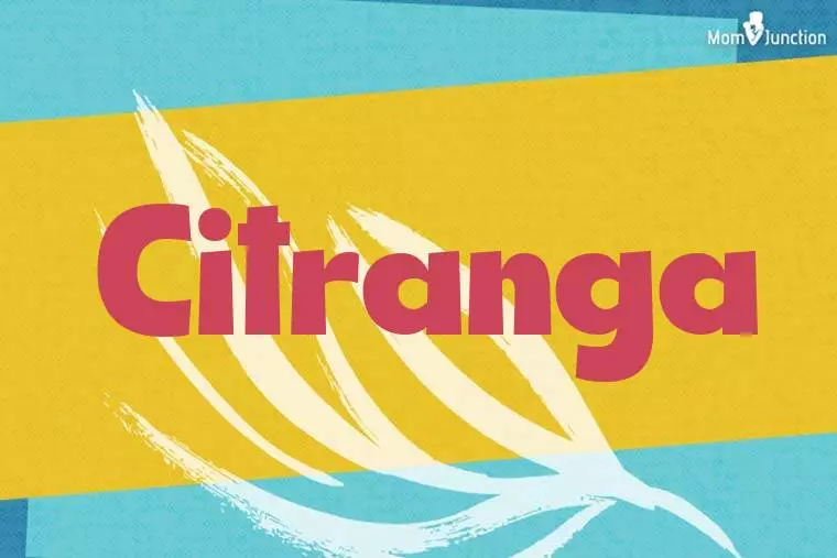 Citranga Stylish Wallpaper