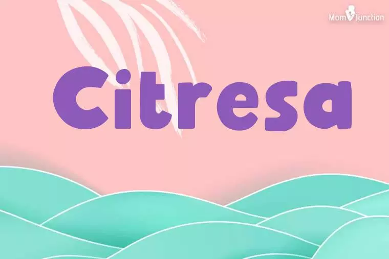 Citresa Stylish Wallpaper