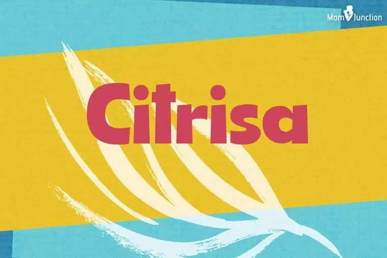 Citrisa Stylish Wallpaper