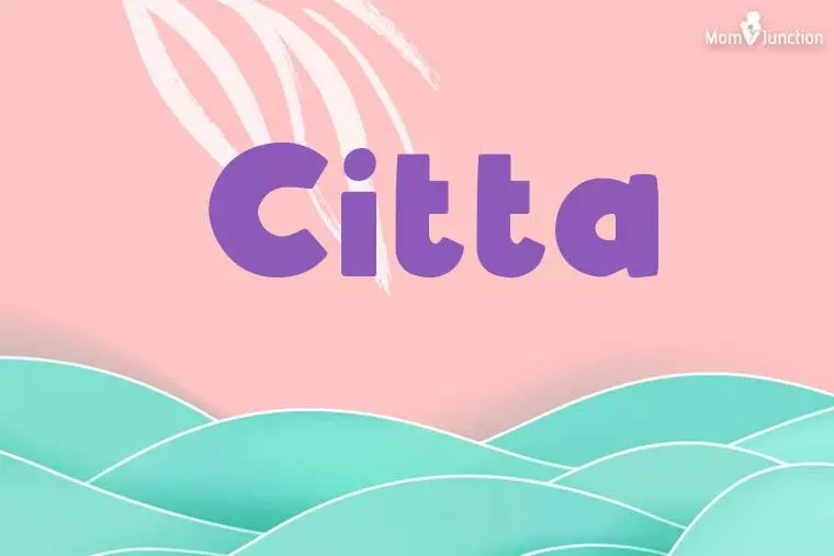 Citta Stylish Wallpaper