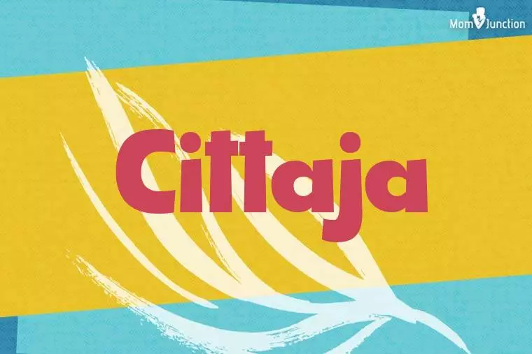 Cittaja Stylish Wallpaper