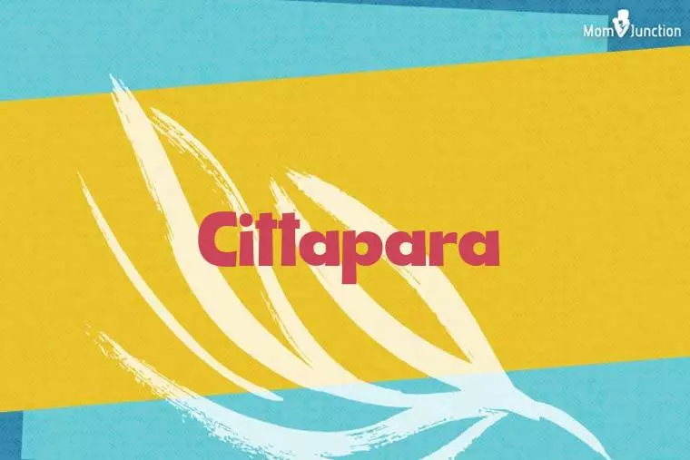 Cittapara Stylish Wallpaper