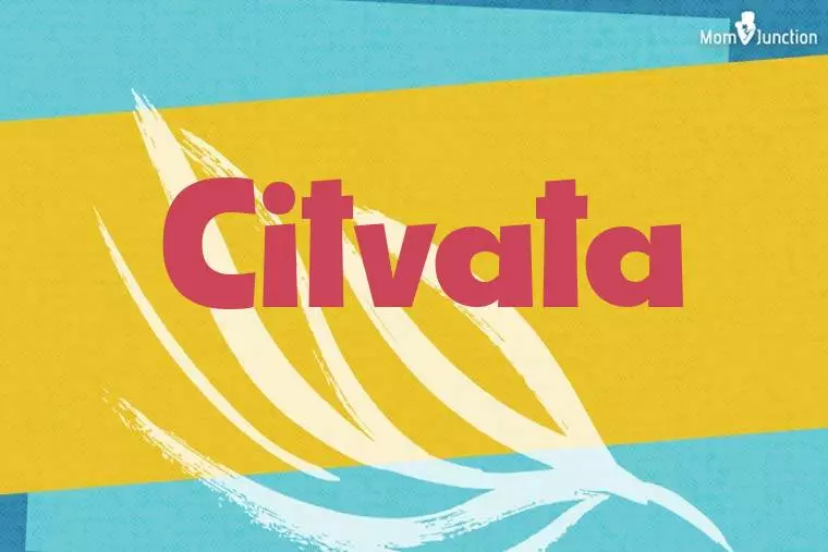 Citvata Stylish Wallpaper