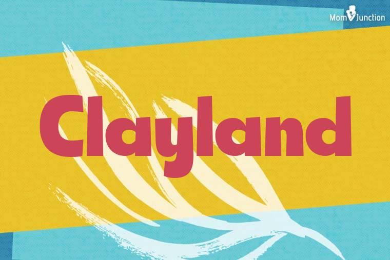 Clayland Stylish Wallpaper