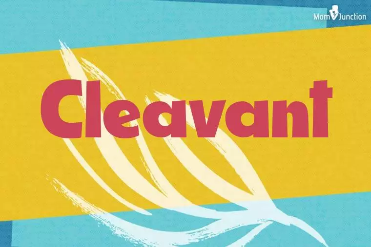 Cleavant Stylish Wallpaper