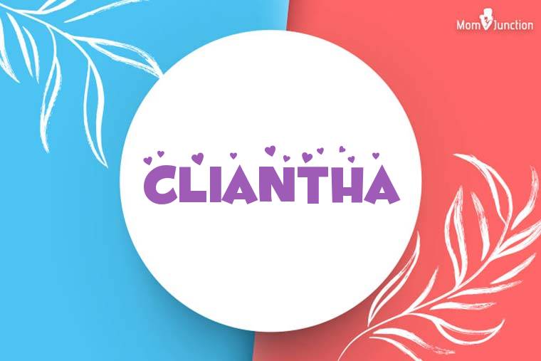 Cliantha Stylish Wallpaper
