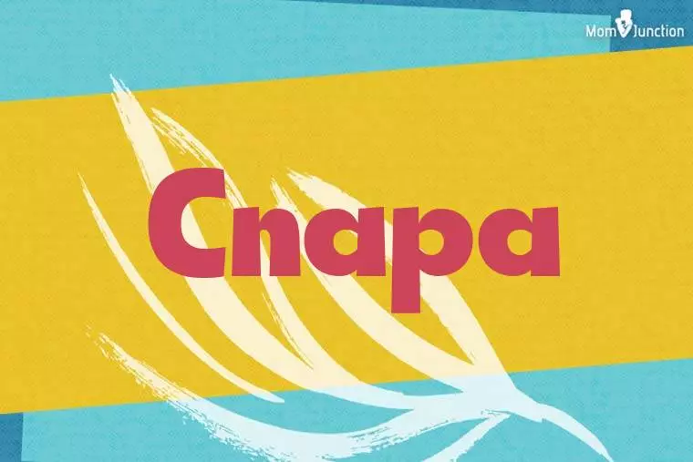 Cnapa Stylish Wallpaper