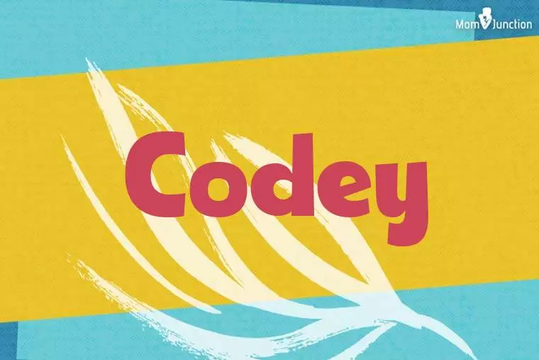 Codey Stylish Wallpaper